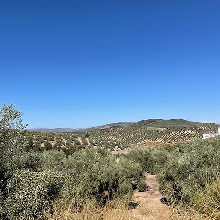 Lafrenchtouch - Escapada Rural En Una Coqueta Casa Villanueva de Tapia Екстериор снимка
