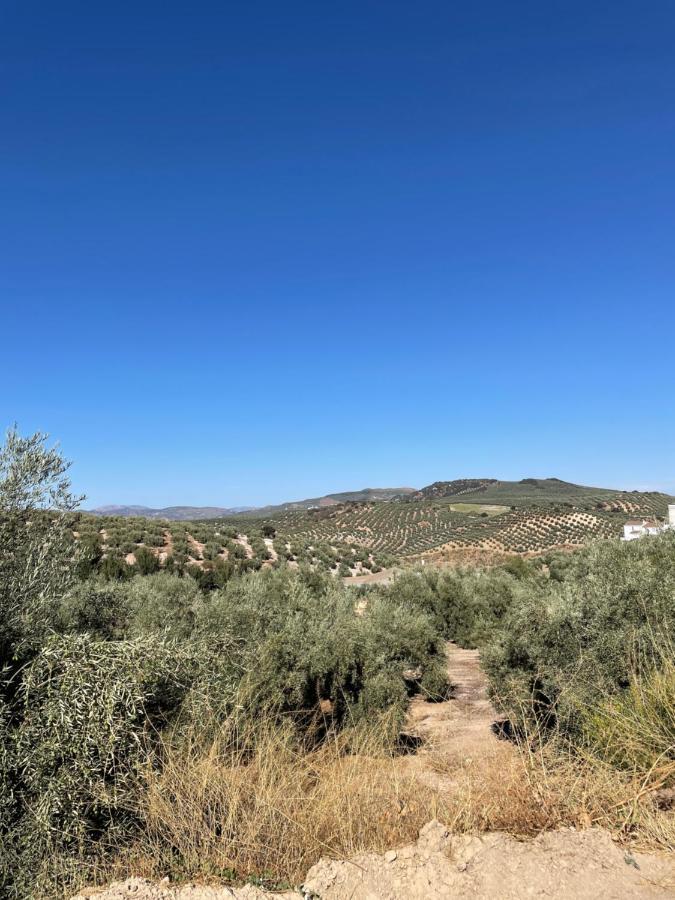 Lafrenchtouch - Escapada Rural En Una Coqueta Casa Villanueva de Tapia Екстериор снимка
